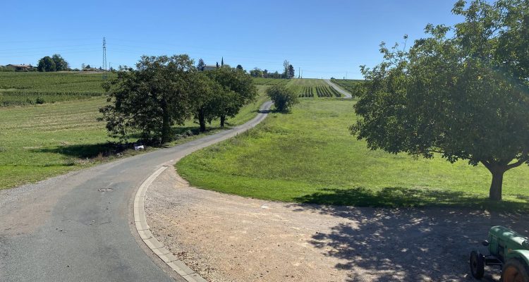 Vente Maison 236 m² à Pommiers 665 000 € - Pommiers (69480) - 22