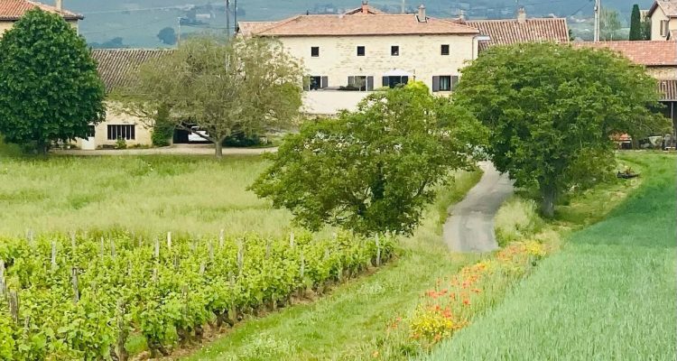 Vente Maison 236 m² à Villefranche-sur-Saône 665 000 € - Villefranche-sur-Saône (69400) - 2