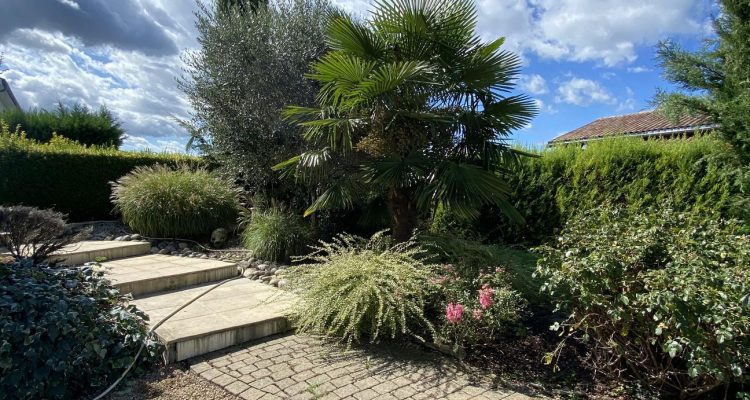 Vente Maison 138 m² à Fareins 495 000 € - Fareins (01480) - 5