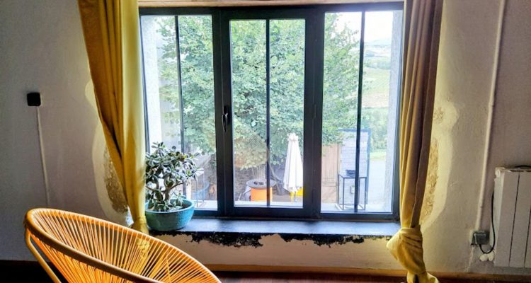 Vente Maison 522 m² à Vaux-en-Beaujolais 789 000 € - Vaux-en-Beaujolais (69460) - 9