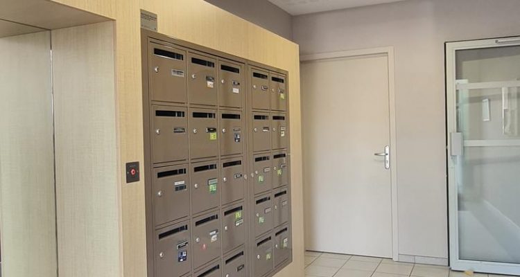 Lumineux et bien situé - Belleville (69220) - 13