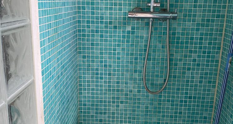 Vente Maison 260 m² à Fareins 750 000 € - Fareins (01480) - 14