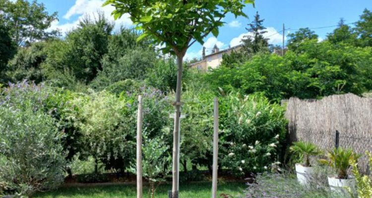 Duplex rénové avec jardin - Reyrieux (01600) - 12