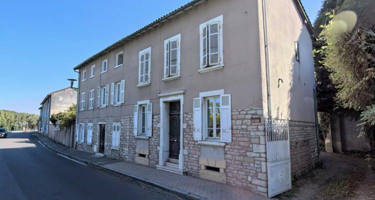 Vente Maison 500 m² à Montmerle-sur-Saône 595 000 € - Montmerle-sur-Saône (01090)