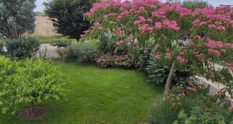 Vente Maison 177 m² à Ars-sur-Formans 449 000 € - Ars-sur-Formans (01480) - 3