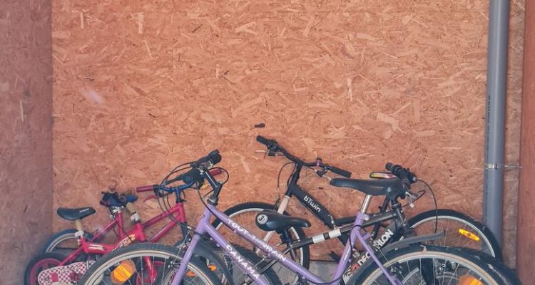 Fonctionnel et agréable à vivre! - Bron (69500) - 11