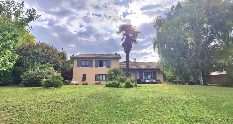 Au calme avec vue dégagée ! - Reyrieux (01600) - 1