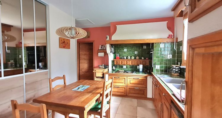 Au calme avec vue dégagée ! - Reyrieux (01600) - 5