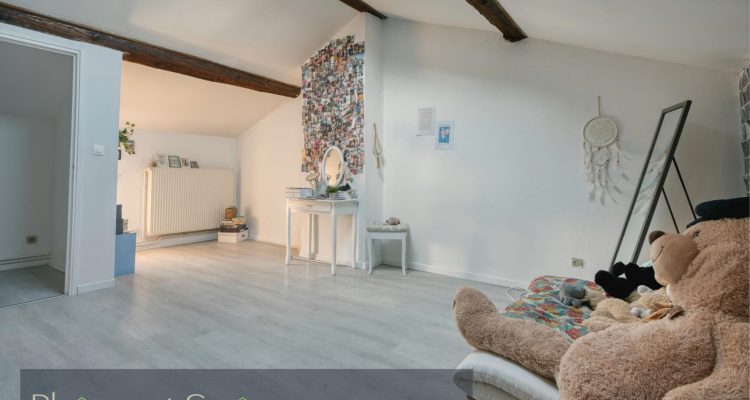 Ferme rénovée - Reyrieux (01600) - 17