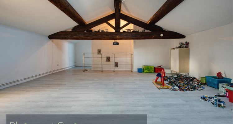 Ferme rénovée - Reyrieux (01600) - 19