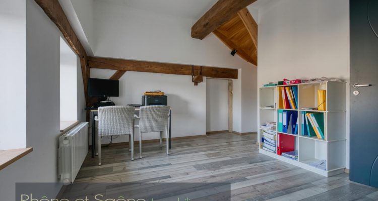 Vente Maison 205 m² à Fareins 630 000 € - Fareins (01480) - 14