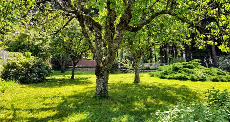 Vente Maison 165 m² à Chauffailles 239 000 € - Chauffailles (71170) - 15