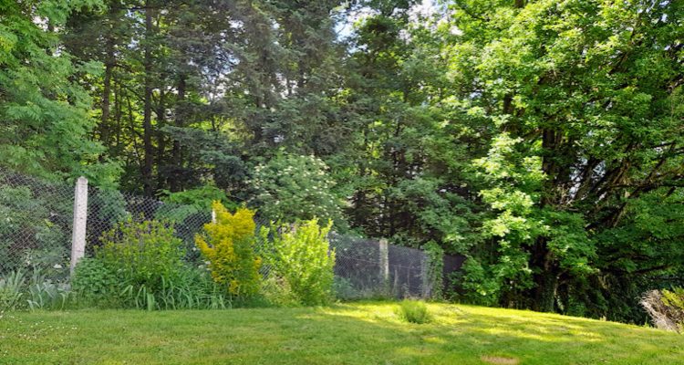 Vente Maison 165 m² à Chauffailles 239 000 € - Chauffailles (71170) - 17