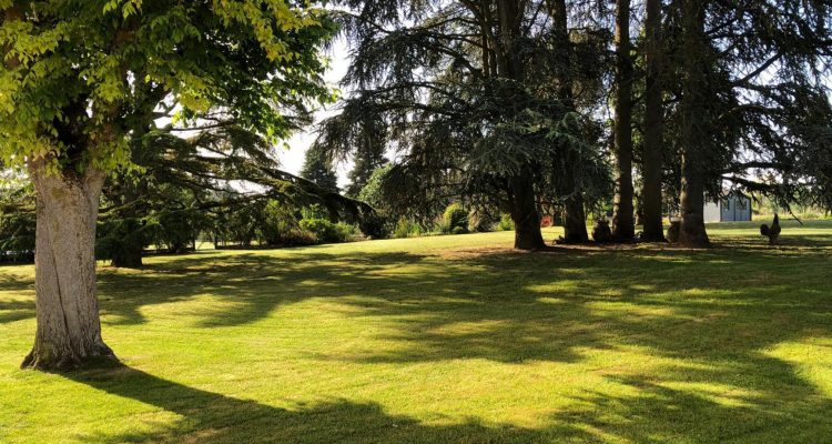 Vente Maison 215 m² à Messimy-sur-Saone 749 000 € - Messimy-sur-Saone (01480) - 3