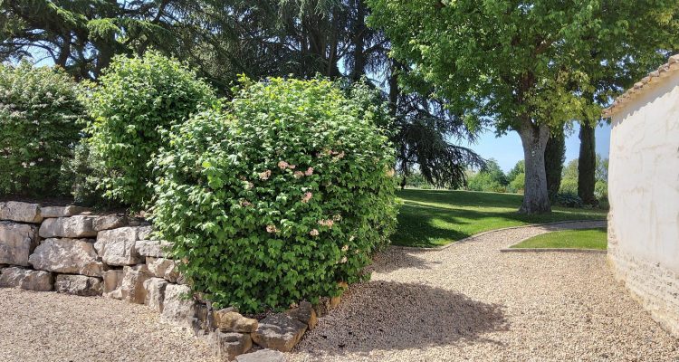 Vente Maison 215 m² à Messimy-sur-Saone 749 000 € - Messimy-sur-Saone (01480) - 16