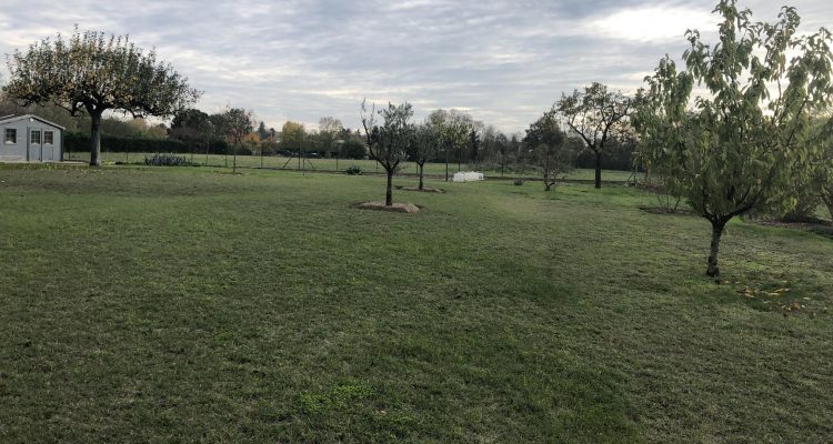 Vente Maison 215 m² à Messimy-sur-Saone 749 000 € - Messimy-sur-Saone (01480) - 20