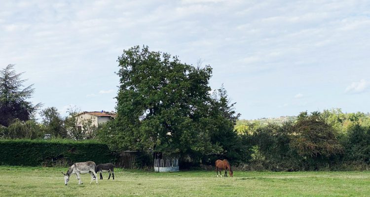 Vente Maison 176 m² à Lentilly 630 000 € - Lentilly (69210) - 20