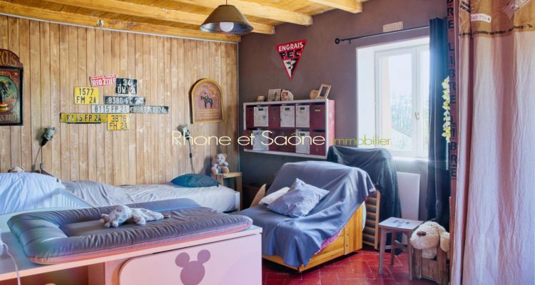 Vente Maison 240 m² à Fareins 620 000 € - Fareins (01480) - 12