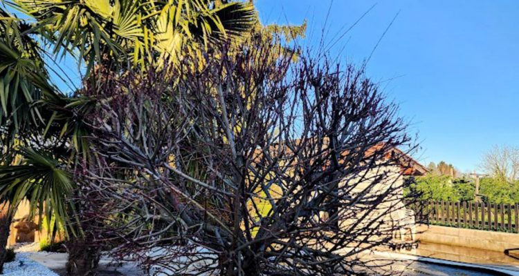 Vente Maison 131 m² à Saint-Georges-de-Reneins 399 000 € - Saint-Georges-de-Reneins (69830) - 7