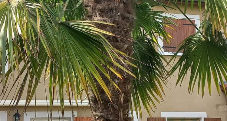 Vente Maison 120 m² à Montmerle-sur-Saône 345 000 € - Montmerle-sur-Saône (01090) - 16