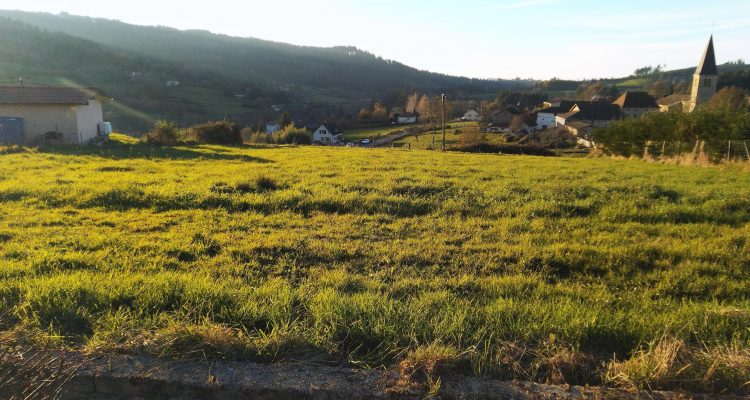 Vente Terrain 1025 m² à Belleroche 35 237 € - Belleroche (42670)