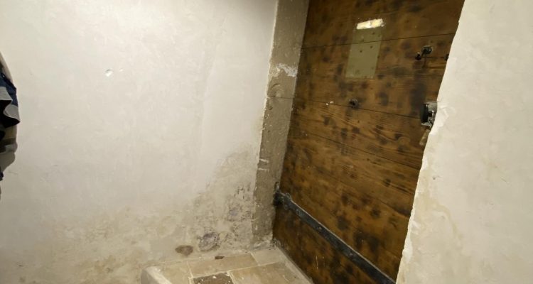 Vente Maison 84 m² à Guéreins 299 000 € - Guéreins (01090) - 17