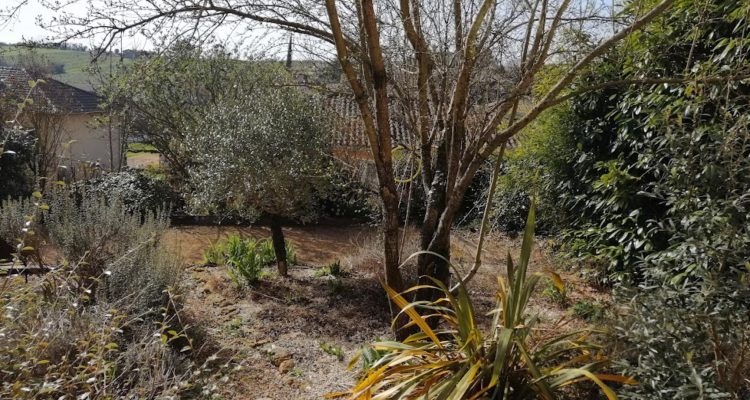 Vente Maison 259 m² à Le Bois-d’Oingt 560 000 € - Le Bois-d'Oingt (69620) - 23