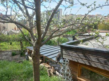 Vente Maison 98 m² à Caluire-Et-Cuire 495 000 € - 1