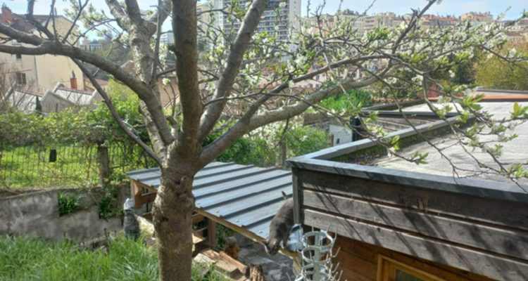 Vente Maison 98 m² à Caluire-Et-Cuire 495 000 € - Caluire-Et-Cuire (69300)