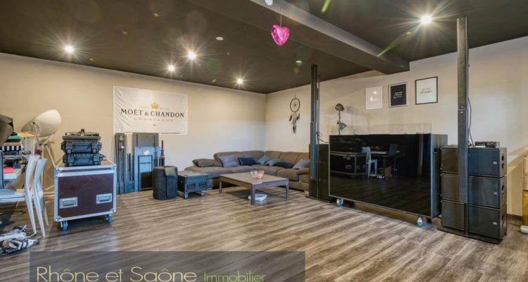 Spacieuse et confortable ! - Albigny-sur-Saône (69250) - 20