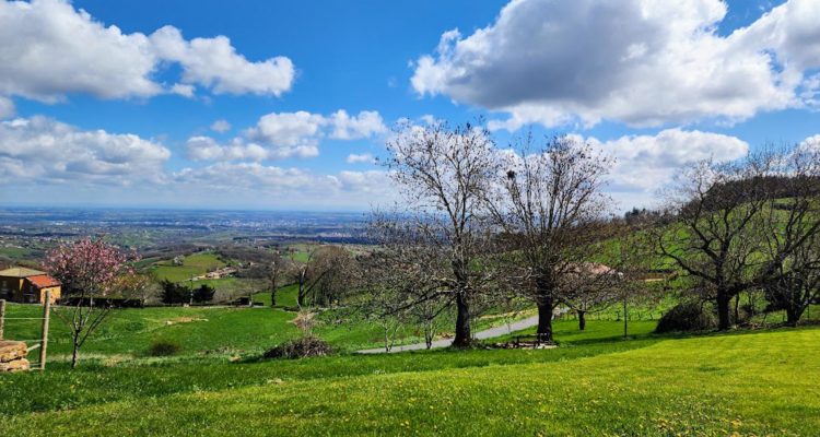 Vente Maison 161 m² à Ville-sur-Jarnioux 595 000 € - Ville-sur-Jarnioux (69640) - 19