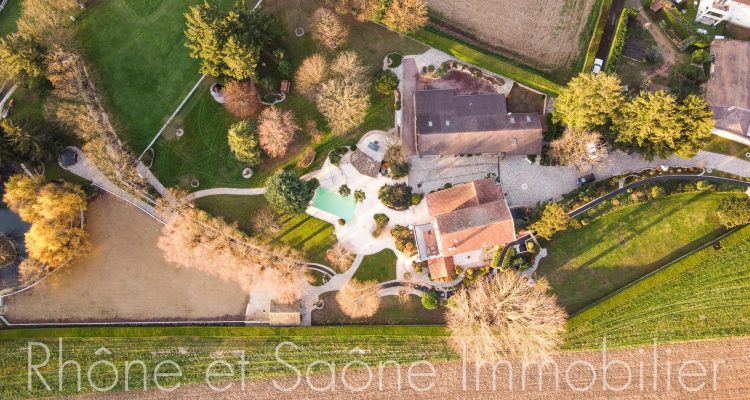 Vente Propriété 721 m² à Ars-sur-Formans 2 200 000 € - Ars-sur-Formans (01480)