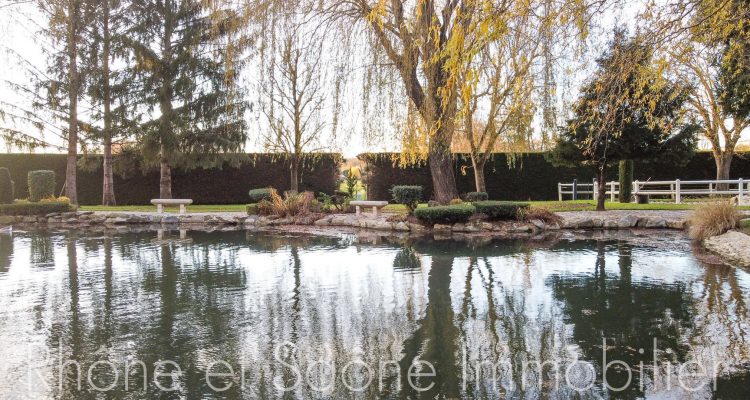 Vente Propriété 721 m² à Ars-sur-Formans 2 200 000 € - Ars-sur-Formans (01480) - 1