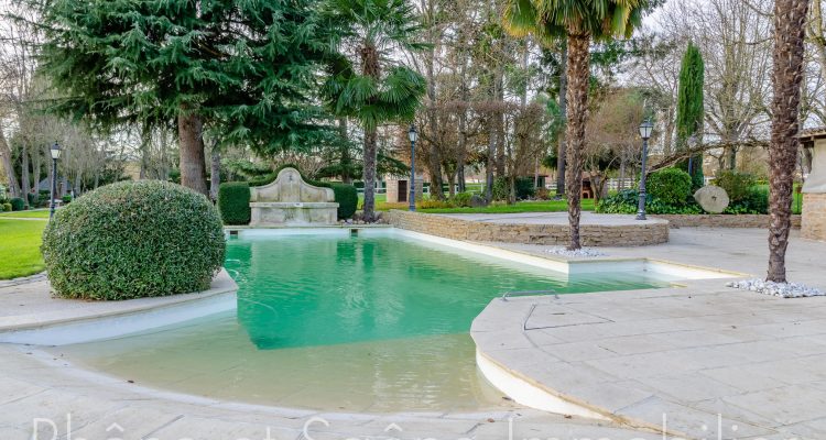 Vente Propriété 721 m² à Ars-sur-Formans 2 200 000 € - Ars-sur-Formans (01480) - 9