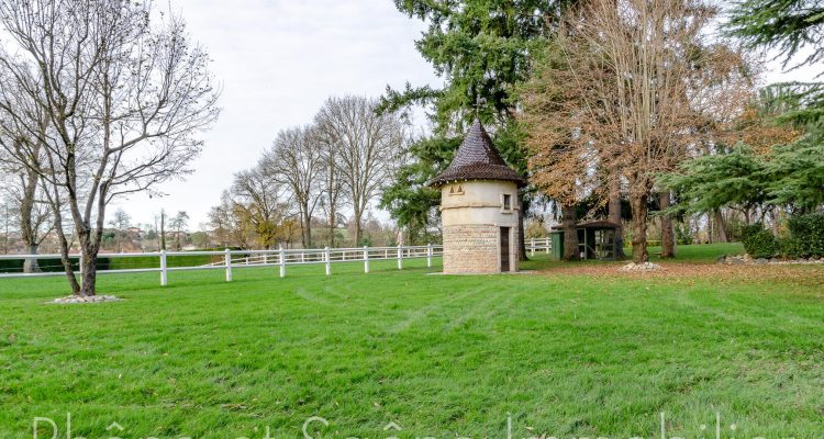 Vente Propriété 721 m² à Ars-sur-Formans 2 200 000 € - Ars-sur-Formans (01480) - 13