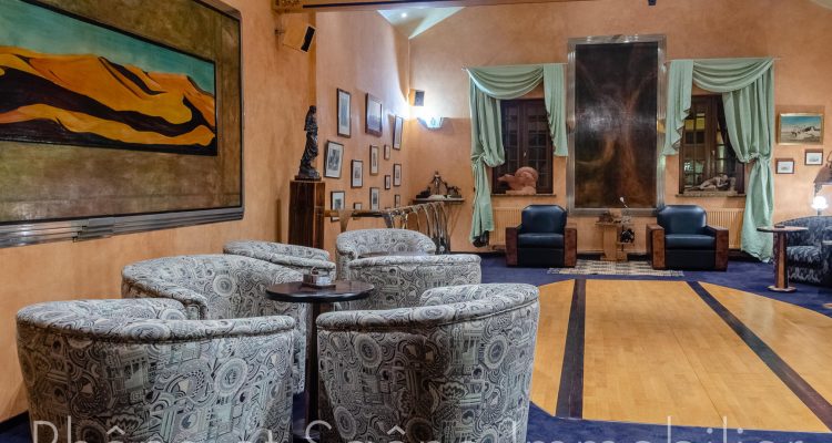 Vente Propriété 721 m² à Ars-sur-Formans 2 200 000 € - Ars-sur-Formans (01480) - 17