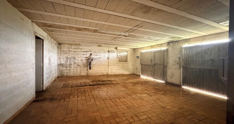 Vente Maison 253 m² à Reyrieux 380 000 € - Reyrieux (01600) - 11