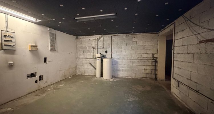 Vente Maison 253 m² à Reyrieux 380 000 € - Reyrieux (01600) - 12
