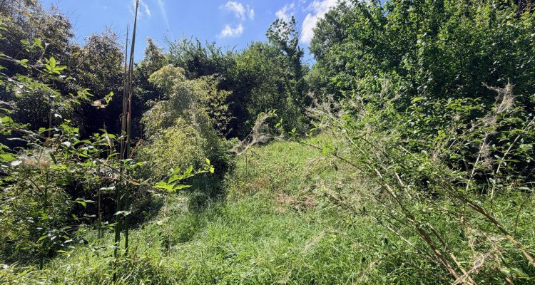 Vente Maison 253 m² à Reyrieux 380 000 € - Reyrieux (01600) - 15