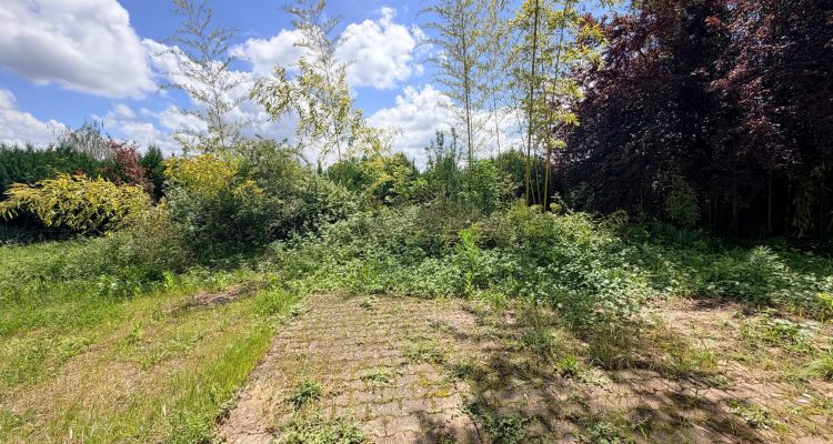 Vente Maison 253 m² à Reyrieux 380 000 € - Reyrieux (01600) - 18