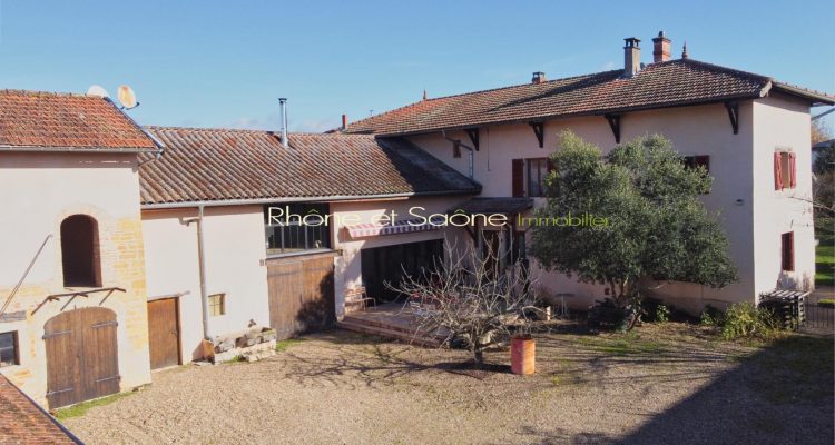 Charme, dépendances, nature, calme et volumes! - Fareins (01480)