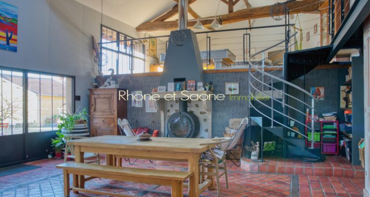Charme, dépendances, nature, calme et volumes! - Fareins (01480) - 8