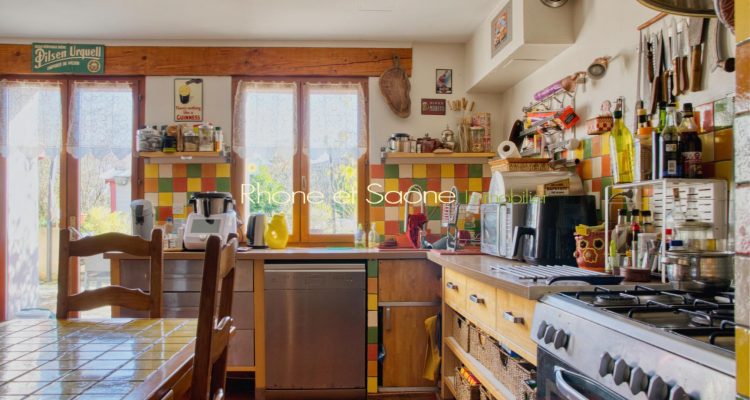 Charme, dépendances, nature, calme et volumes! - Fareins (01480) - 24