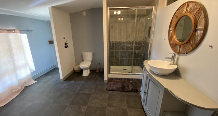 Vente Maison 230 m² à Baneins 510 000 € - Baneins (01990) - 16