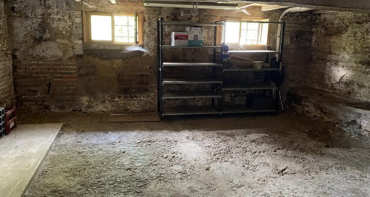 Vente Maison 230 m² à Baneins 510 000 € - Baneins (01990) - 22