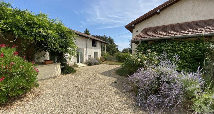 Vente Maison 230 m² à Châtillon-sur-Chalaronne 510 000 € - Châtillon-sur-Chalaronne (01400) - 3
