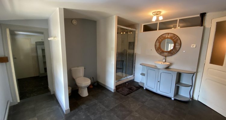 Vente Maison 230 m² à Châtillon-sur-Chalaronne 510 000 € - Châtillon-sur-Chalaronne (01400) - 28