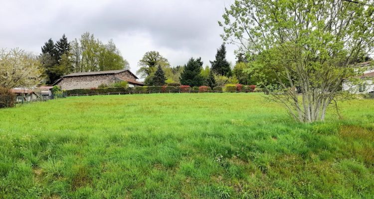 Bien Vendu Terrain 1415 m² à Les Écharmeaux 46 742 € - Les Écharmeaux (69870) - 1