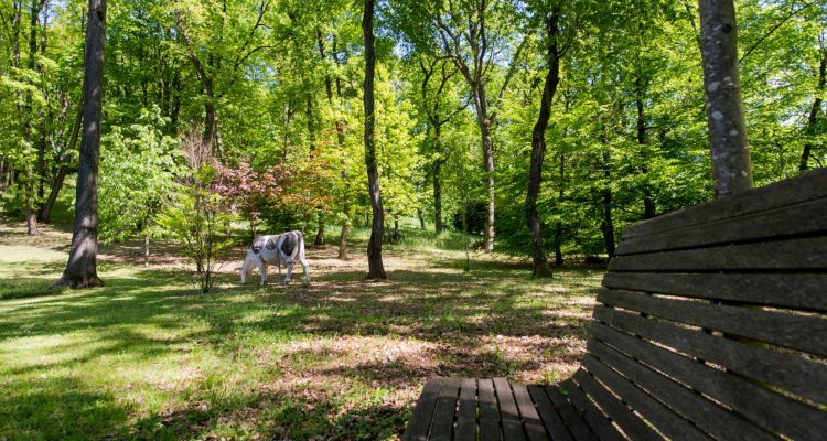 Bien Vendu Maison 350 m² à Crépieux-la-Pape 1 250 000 € - Crépieux-la-Pape (69140) - 17