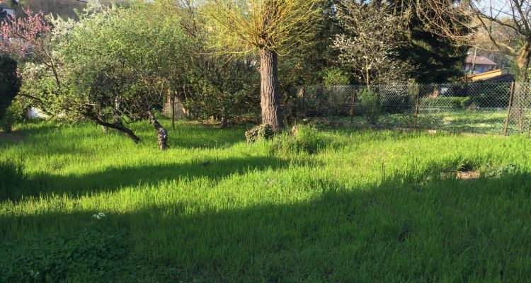 Terrain a batir - Frans (01480)